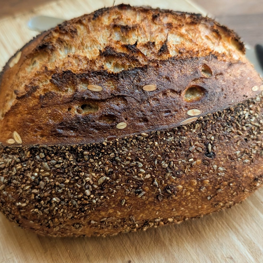 Mauchline Rye